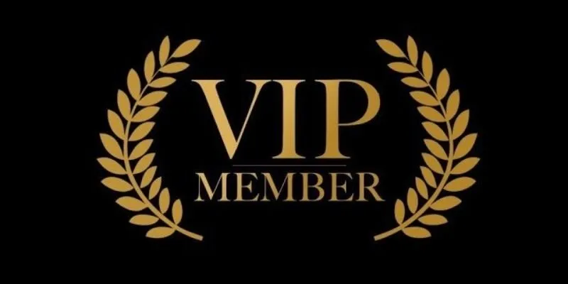 Trải nghiệm ưu đãi đặc biệt chỉ dành cho hội viên VIP